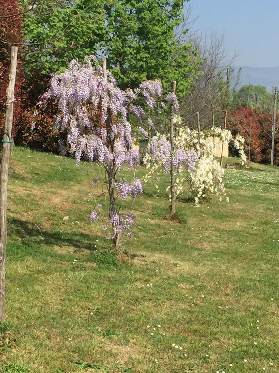 Lago Gabbiano Podere Casanova Pistoia Exterior foto
