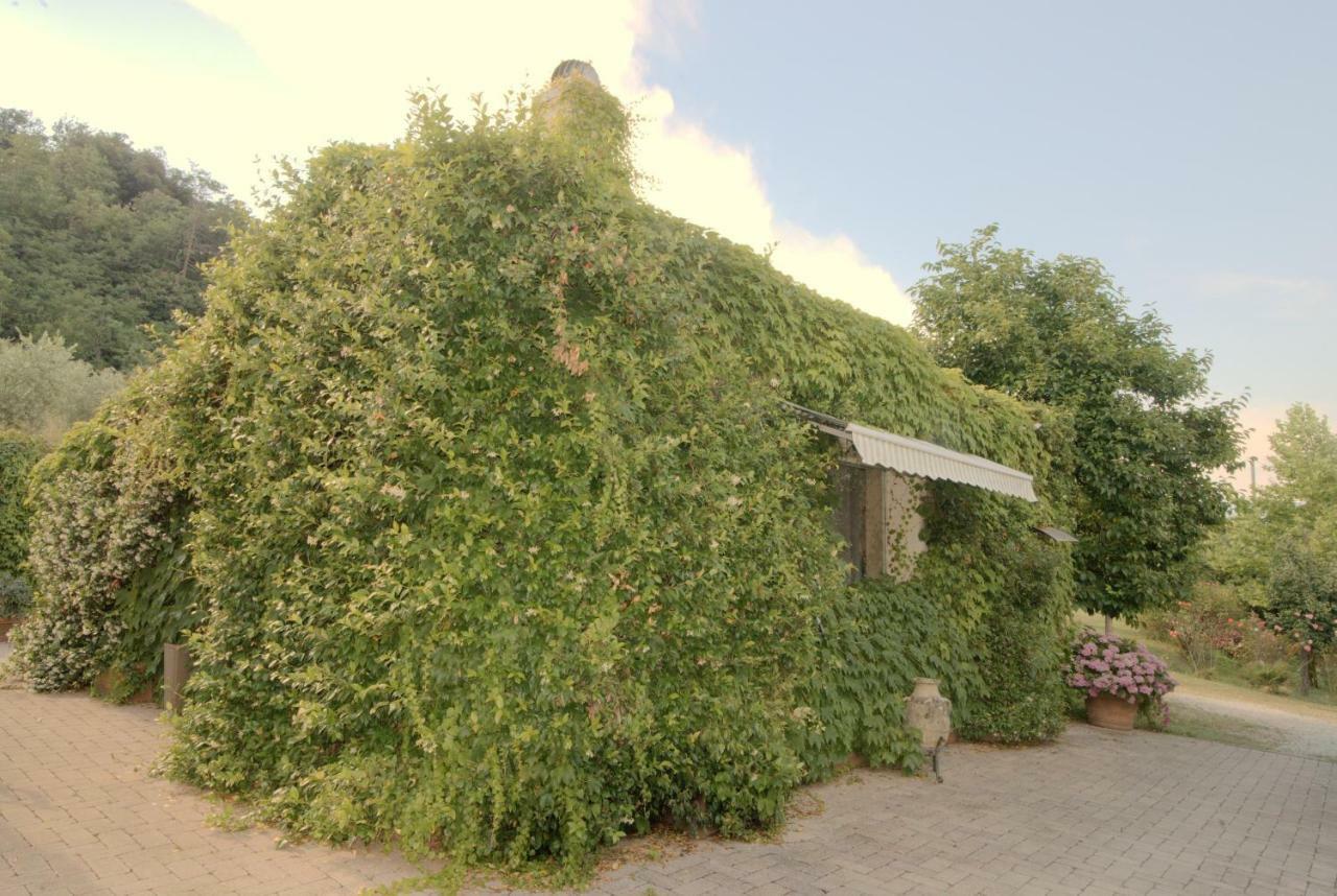 Lago Gabbiano Podere Casanova Pistoia Exterior foto